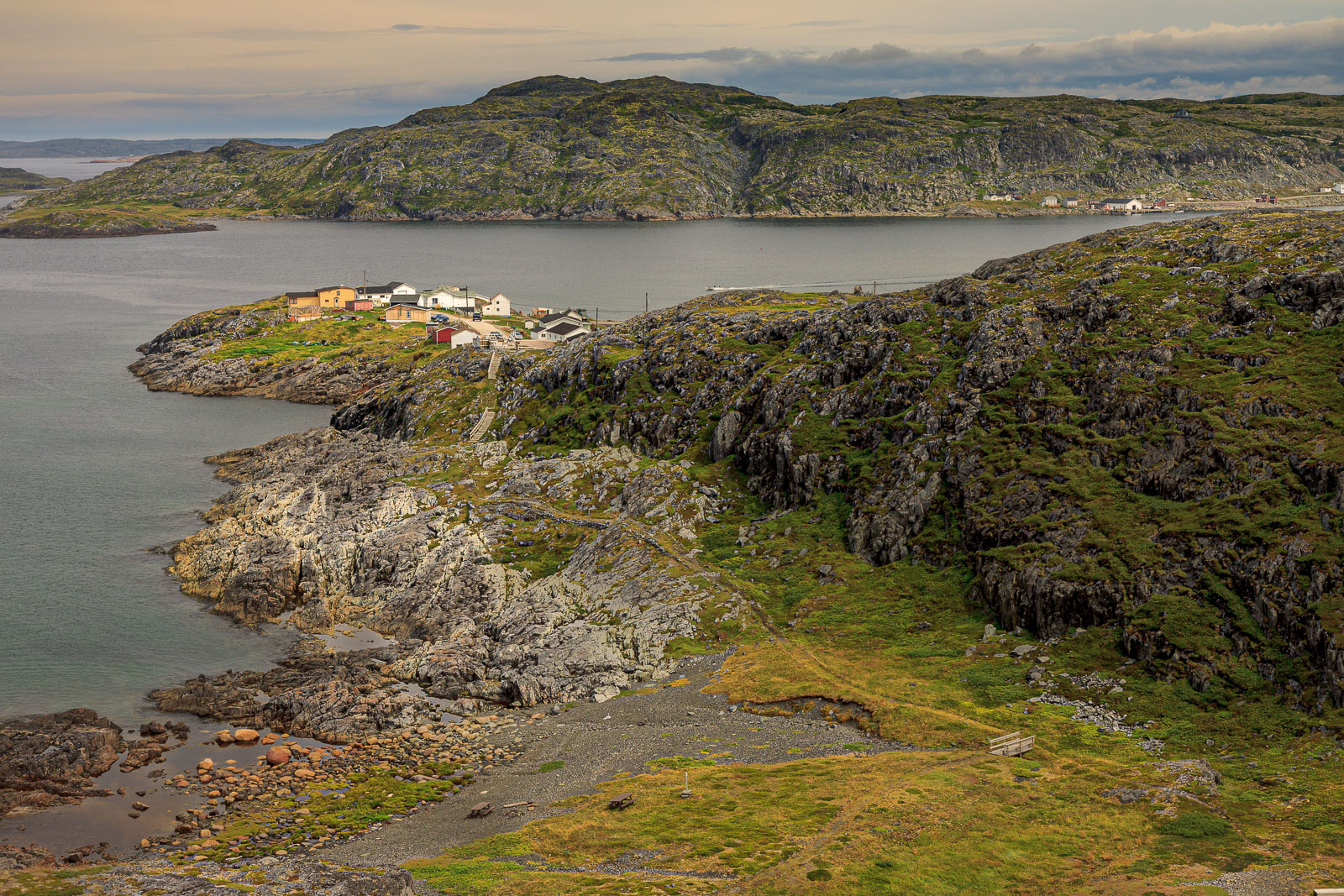 NFLD_1503__MG_0100.jpg