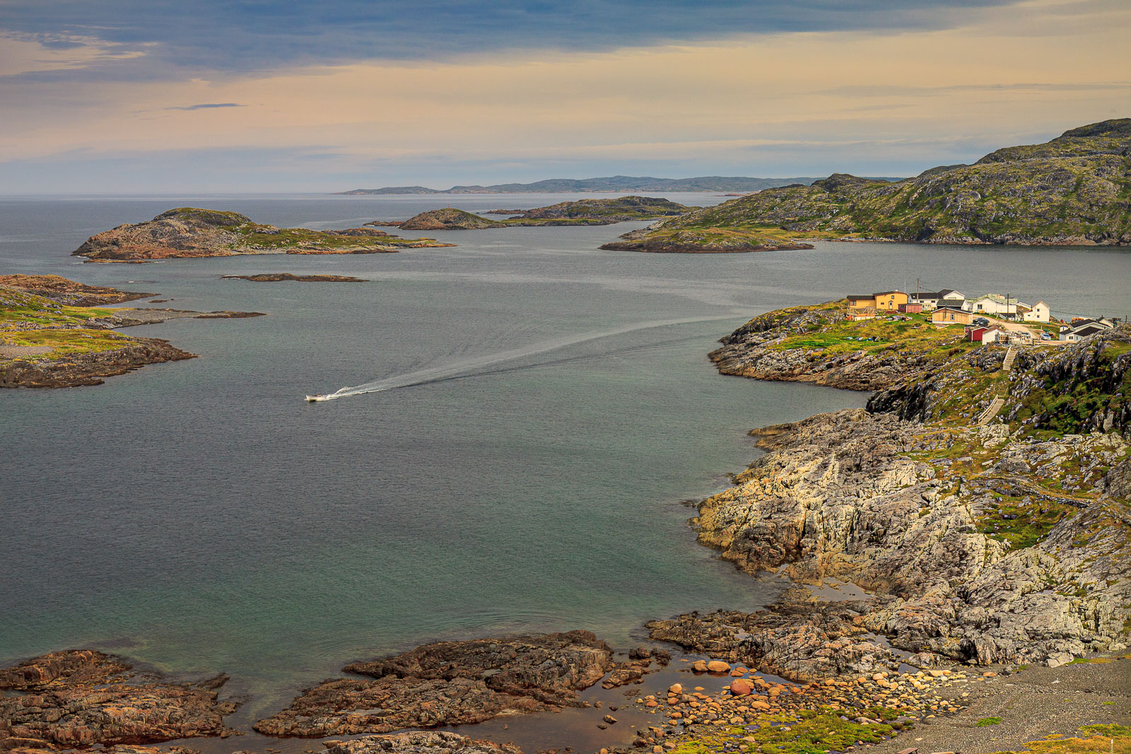 NFLD_1505__MG_0102.jpg