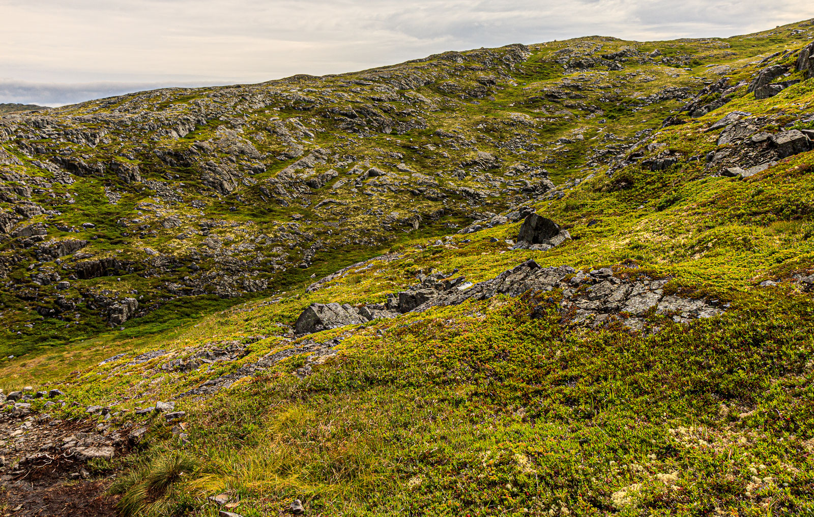 NFLD_1509__MG_0106.jpg