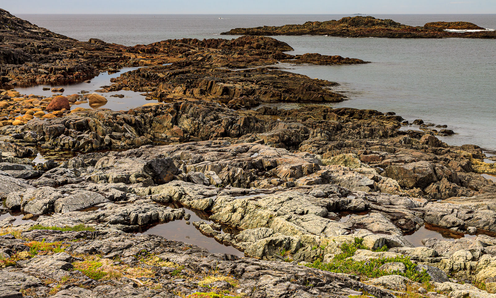 NFLD_1529__MG_0126.jpg