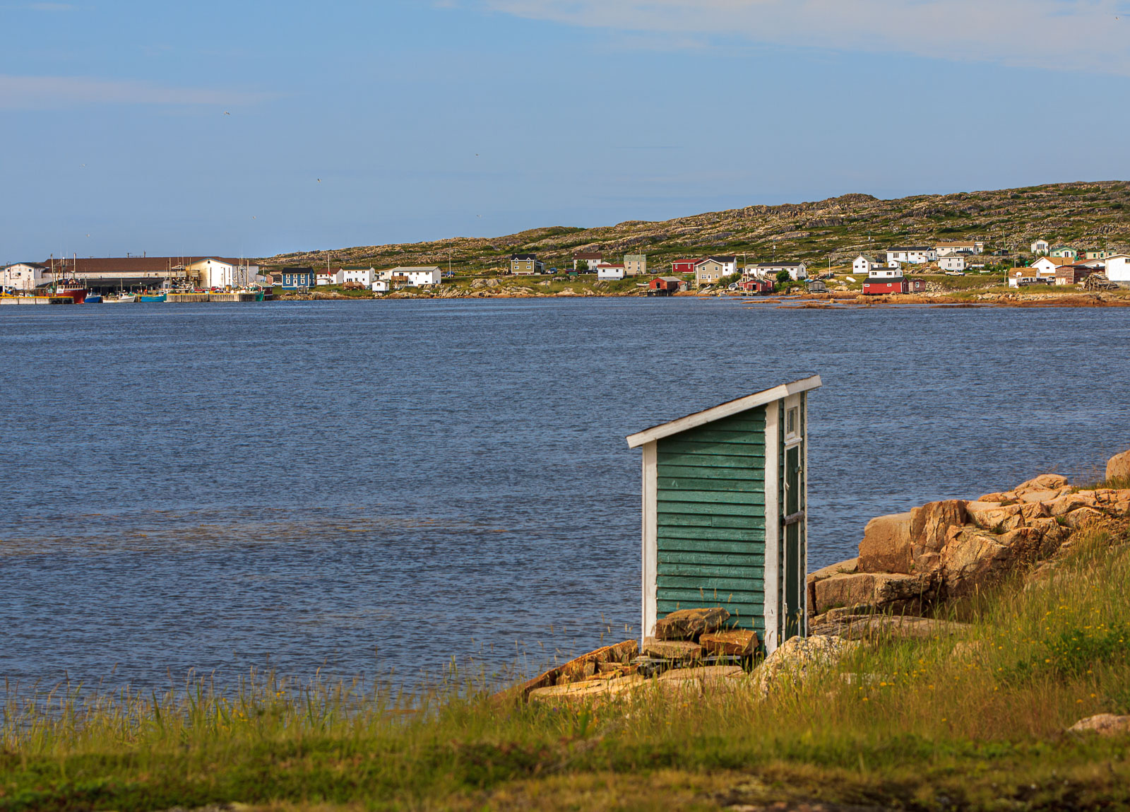 NFLD_1544__MG_0141.jpg