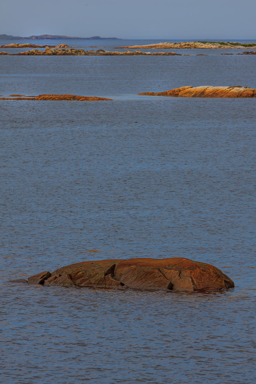 NFLD_1546__MG_0143.jpg