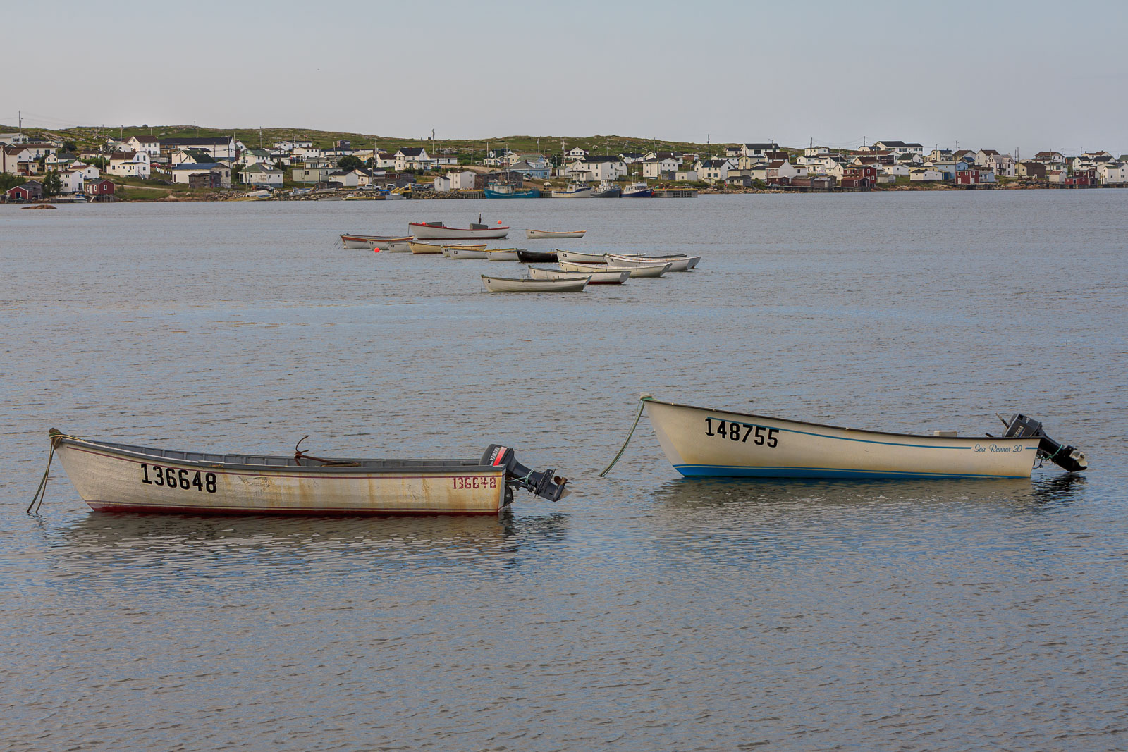 NFLD_1554__MG_0151.jpg