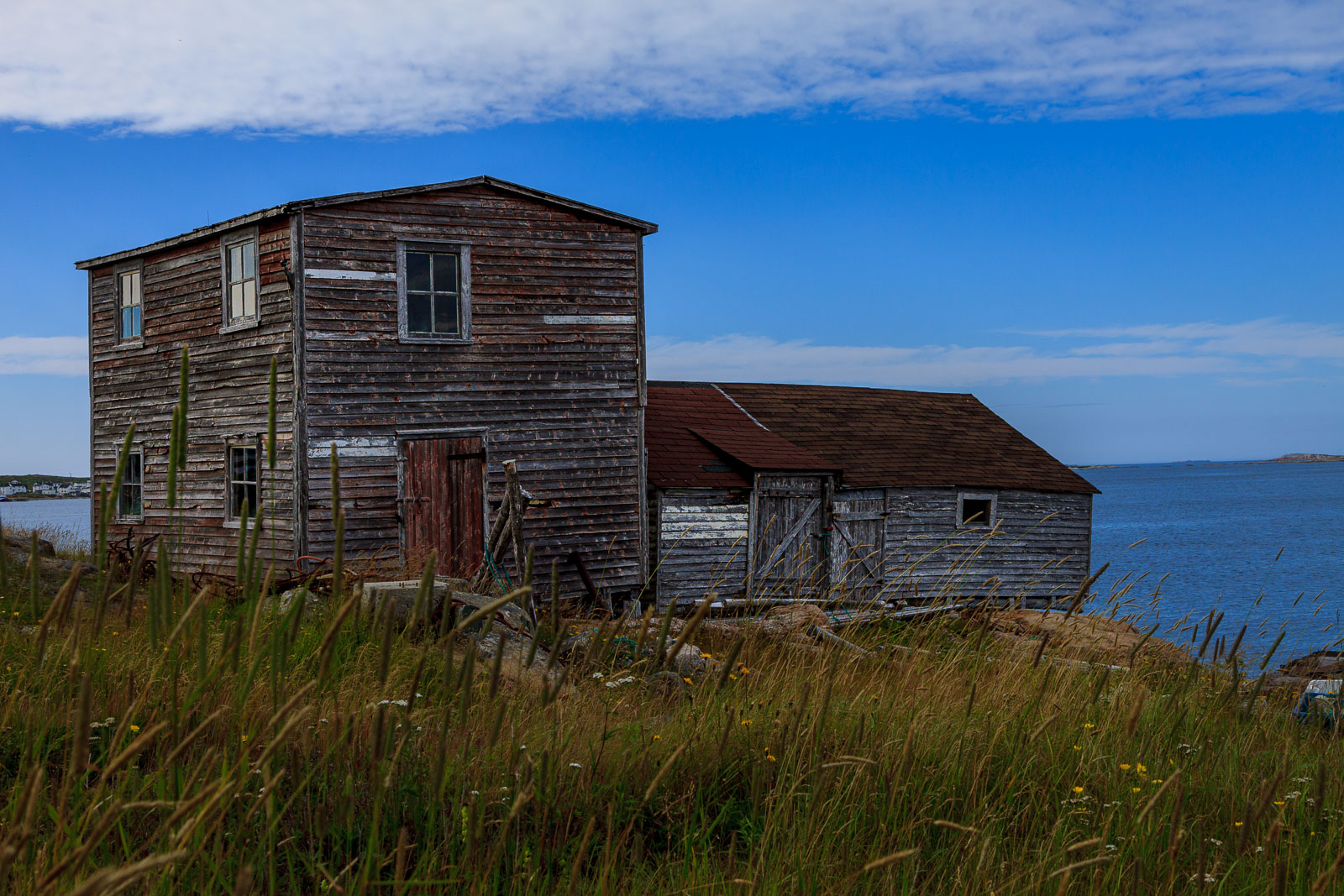 NFLD_1564__MG_0161.jpg