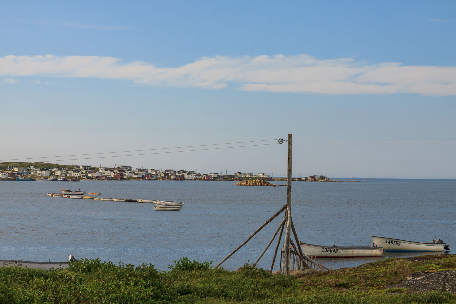 NFLD_1591__MG_0188.jpg