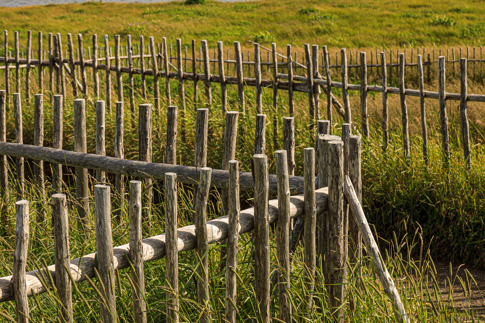 NFLD_1602__MG_0199.jpg