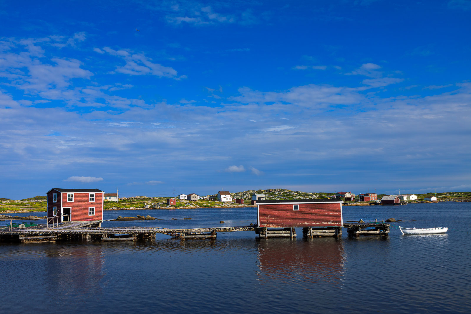 NFLD_1605__MG_0202.jpg