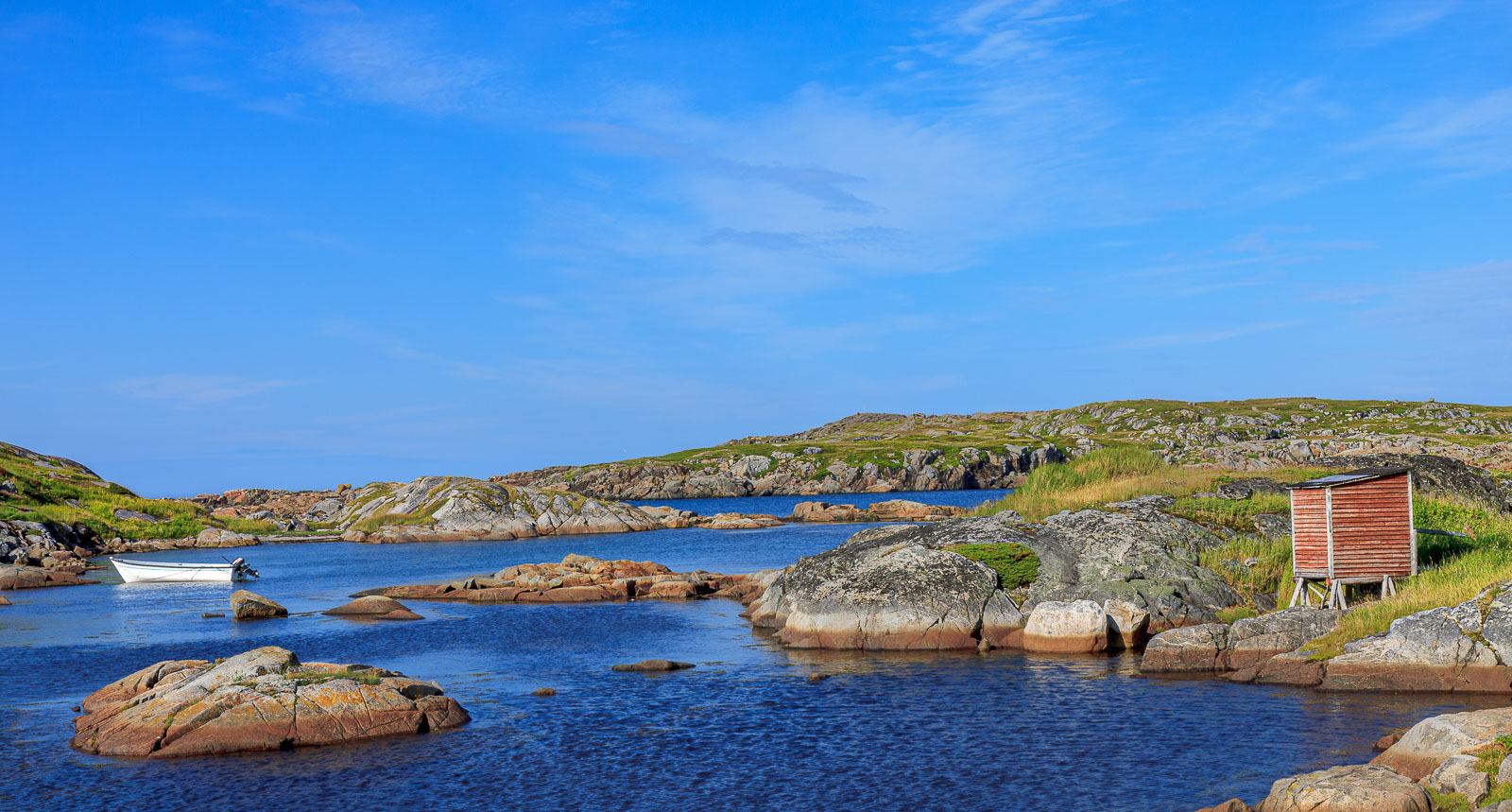 NFLD_1610__MG_0207.jpg