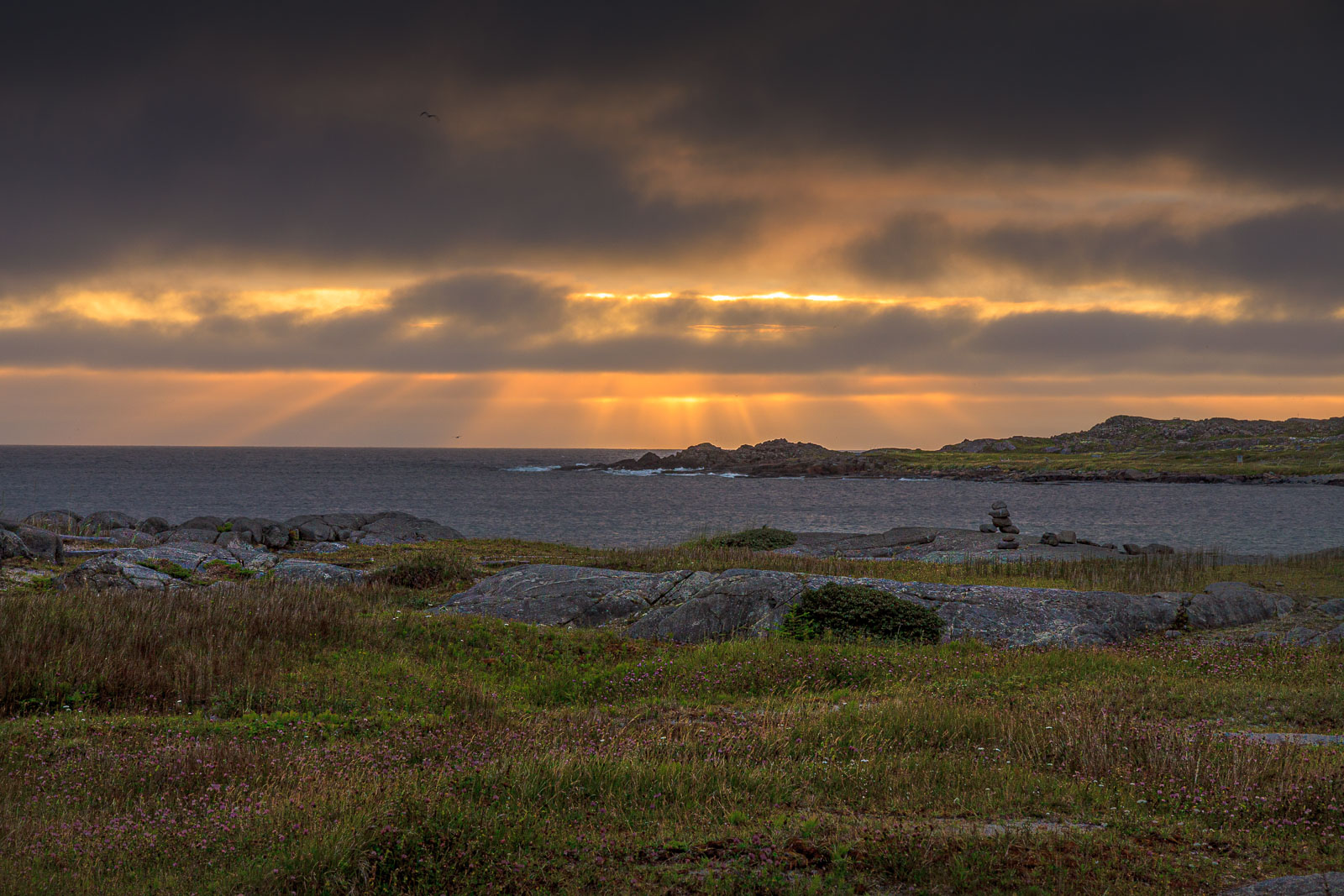 NFLD_1625__MG_0222.jpg