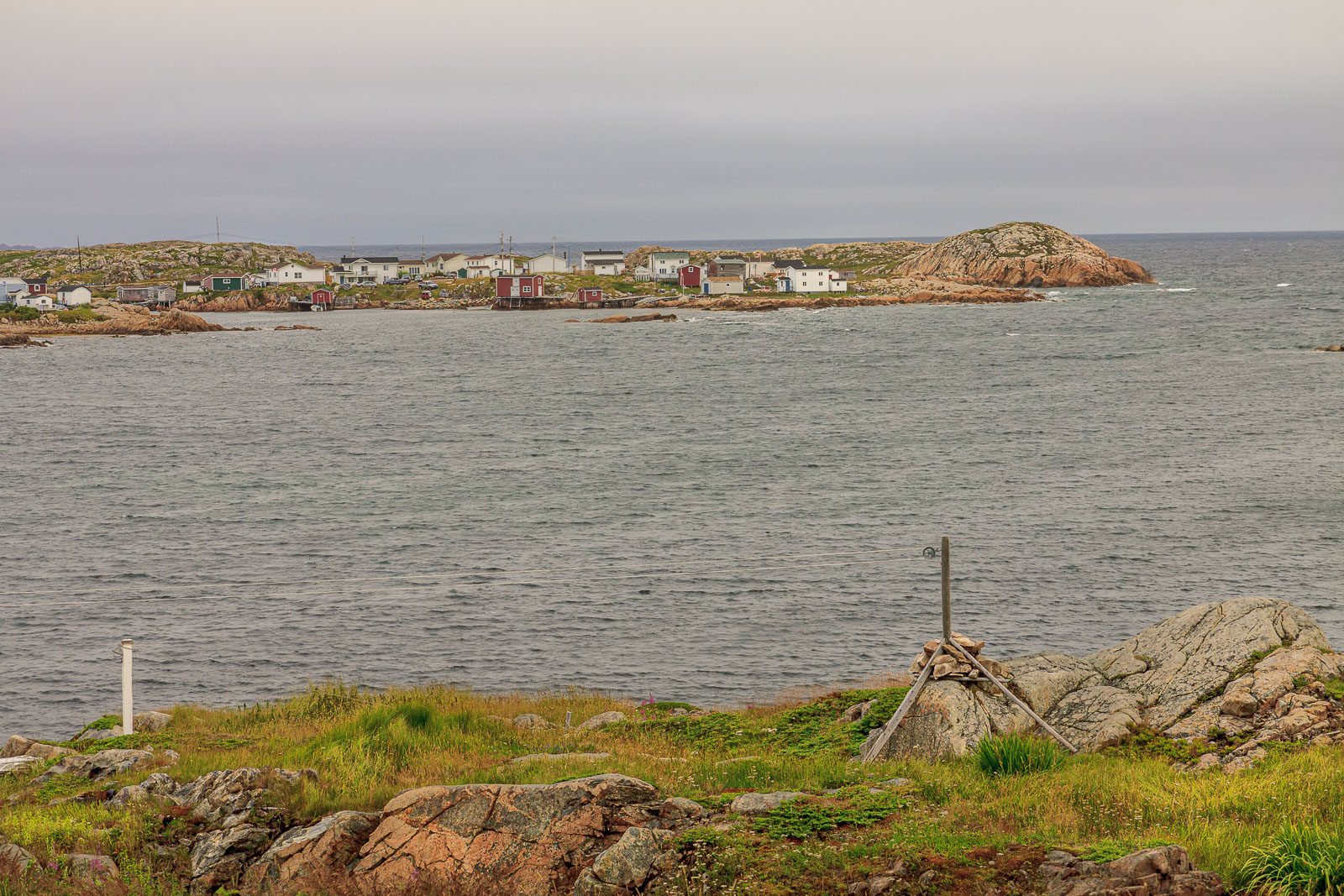 NFLD_1740__MG_0337.jpg