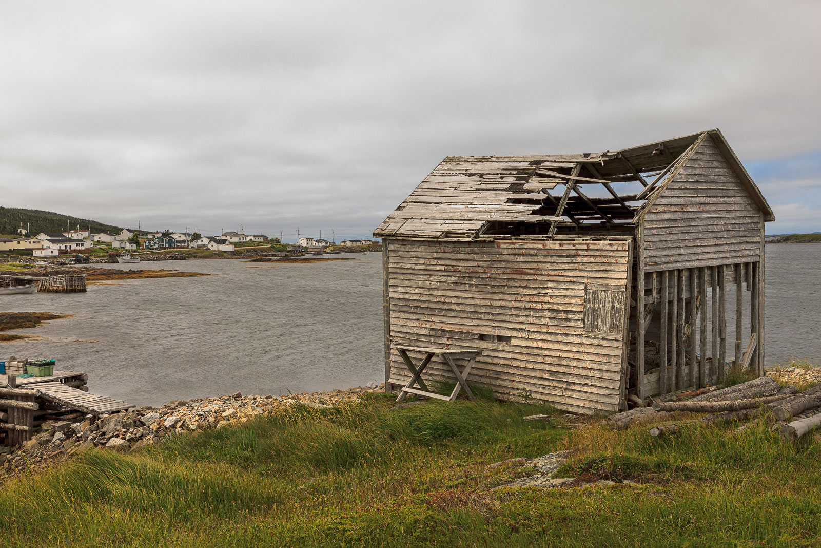 NFLD_1745__MG_0342.jpg