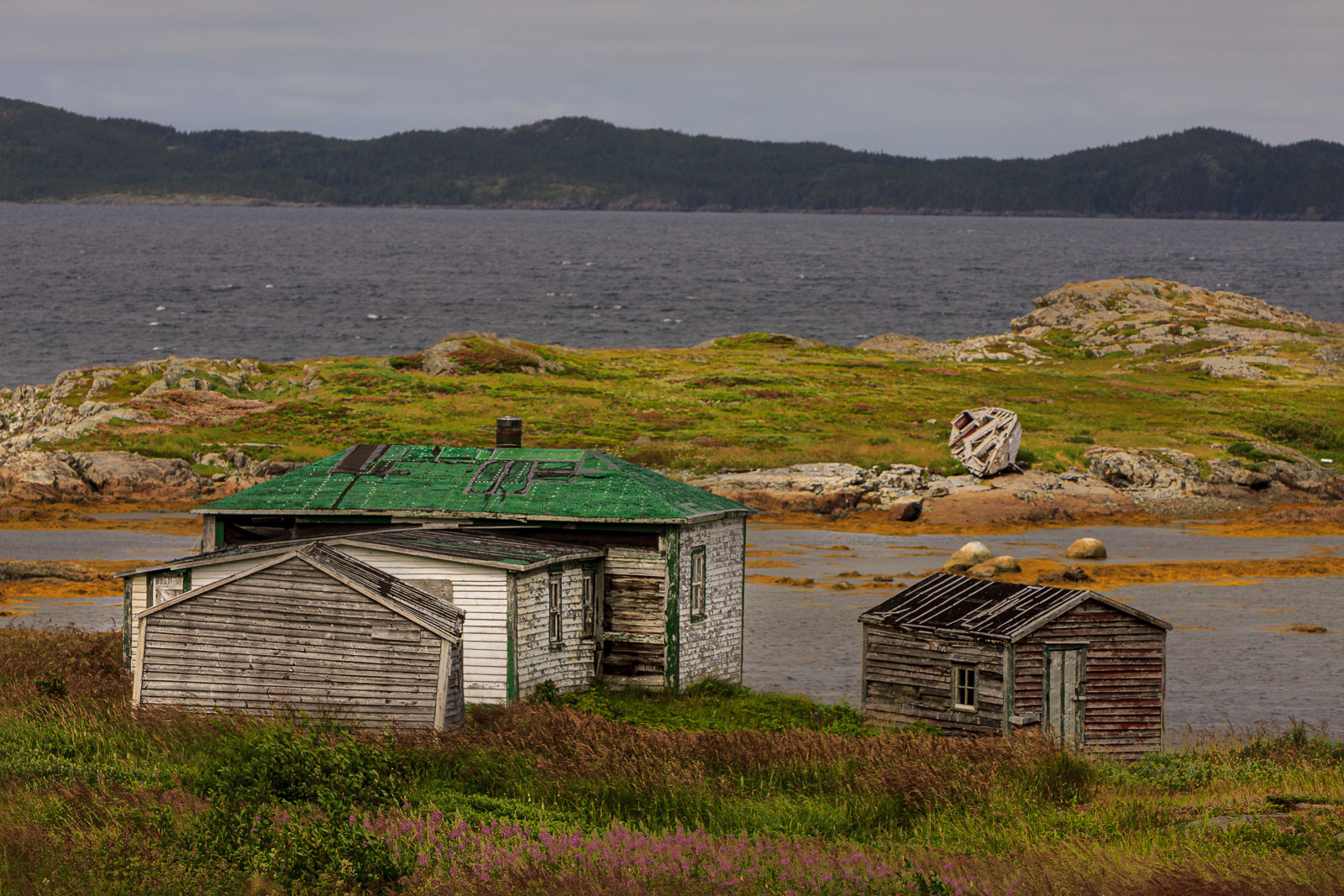 NFLD_1756__MG_0353.jpg