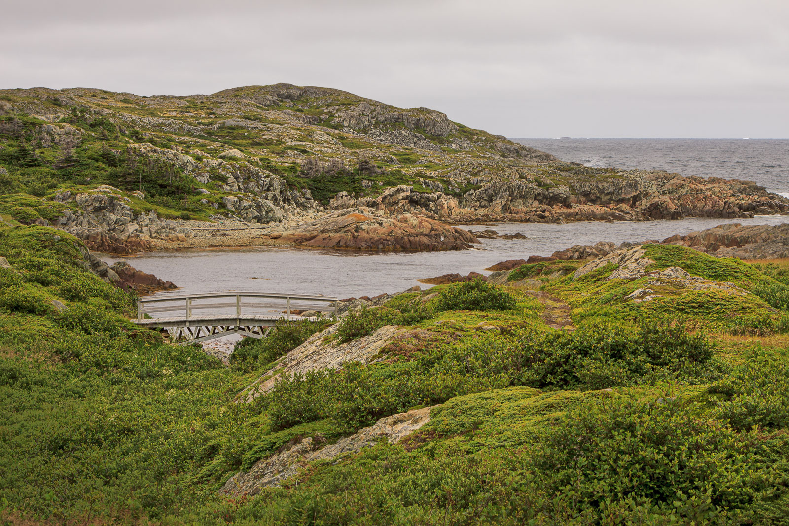 NFLD_1783__MG_0380.jpg