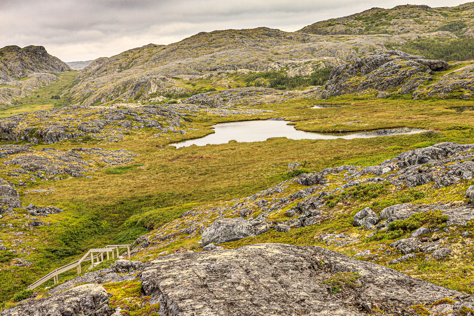 NFLD_1809__MG_0406.jpg