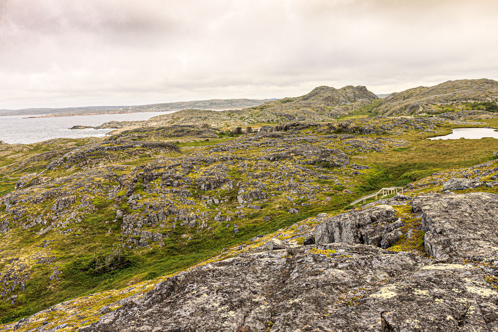 NFLD_1810__MG_0407.jpg