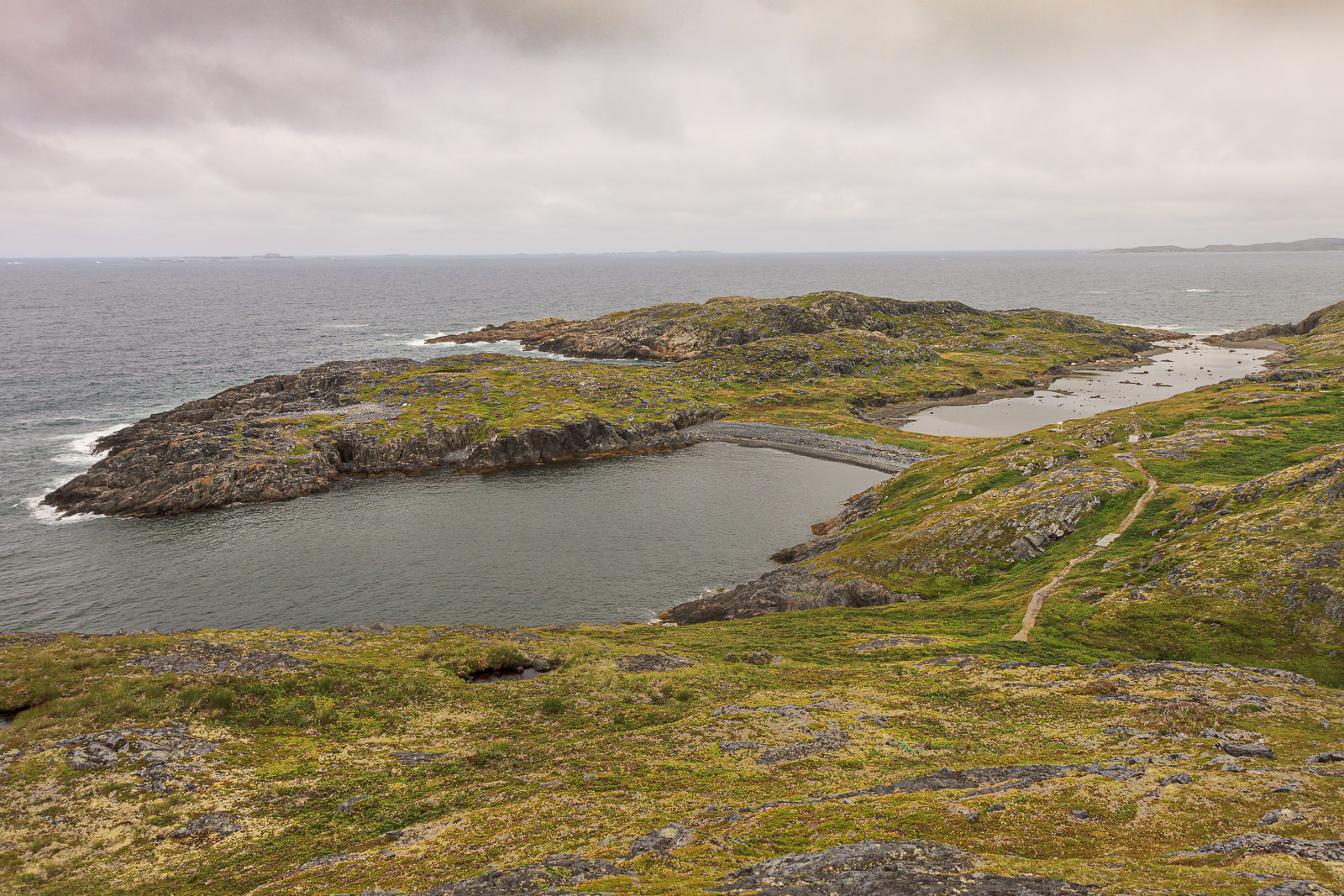 NFLD_1812__MG_0409.jpg