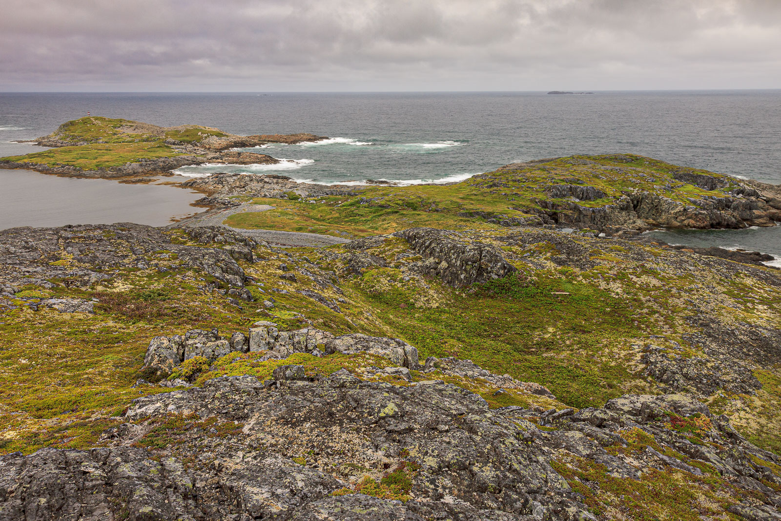 NFLD_1815__MG_0412.jpg