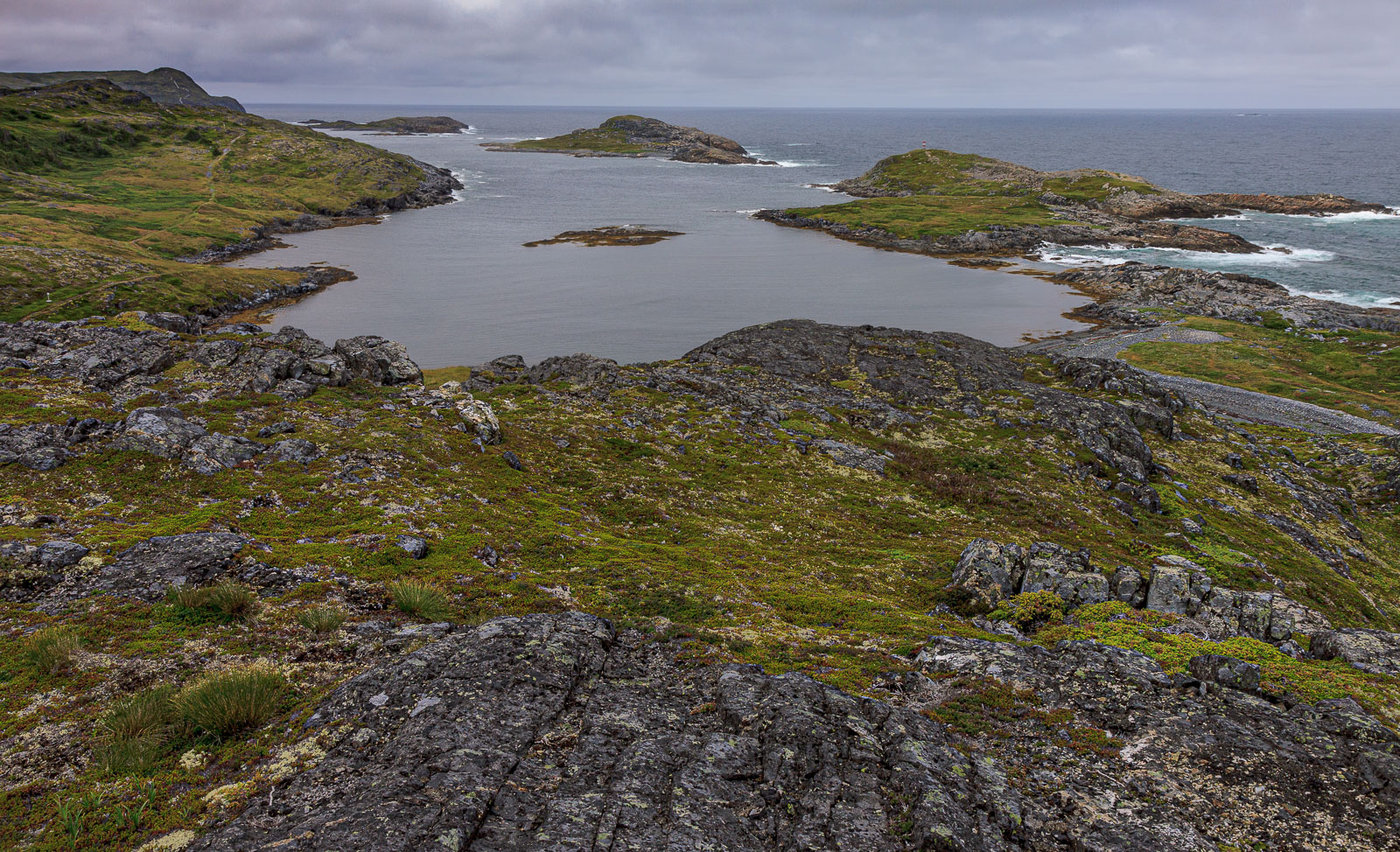 NFLD_1816__MG_0413.jpg