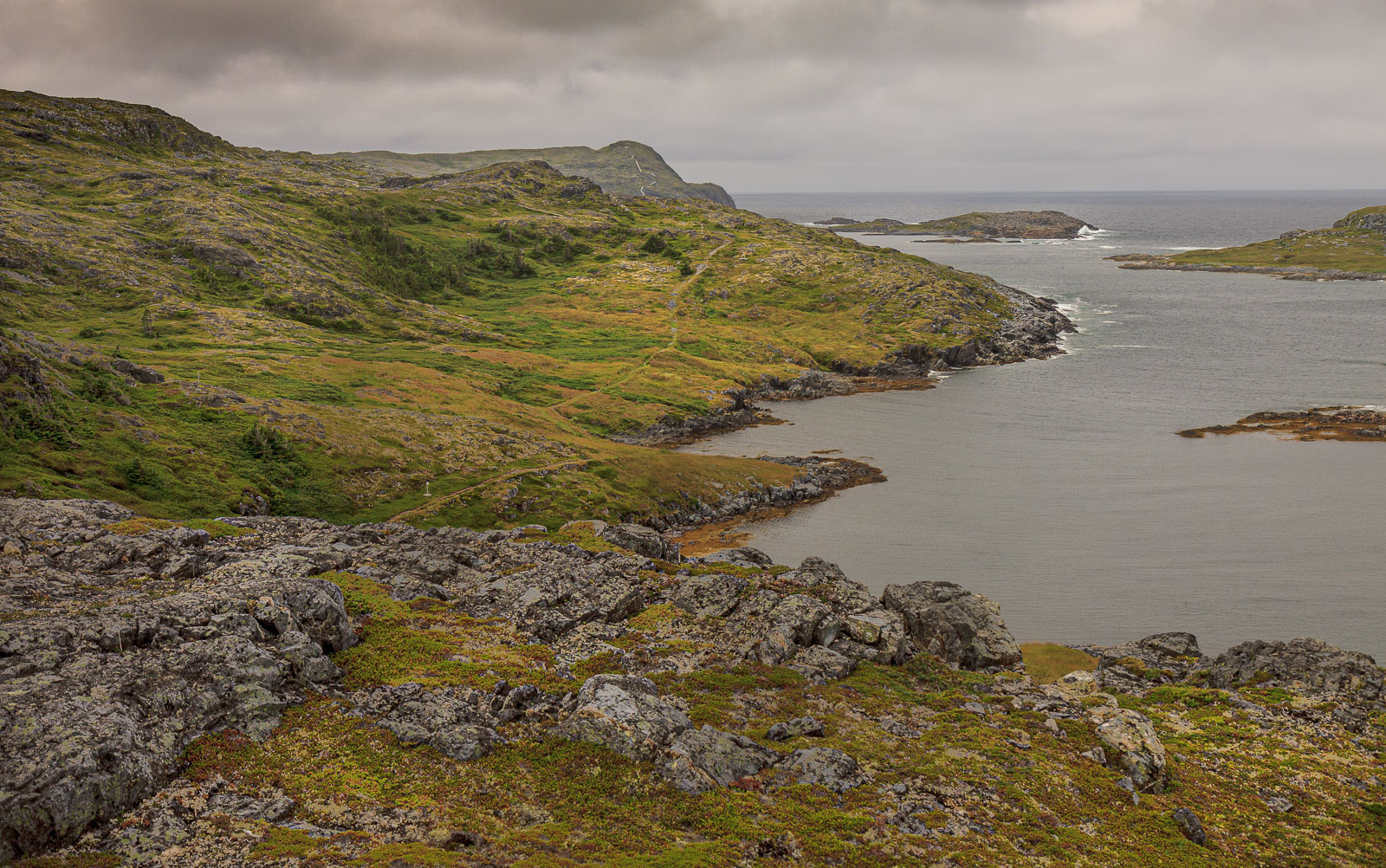 NFLD_1818__MG_0415.jpg