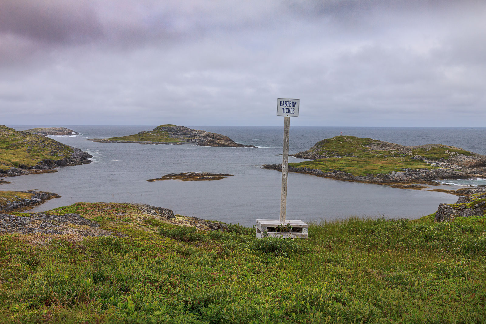 NFLD_1819__MG_0416.jpg