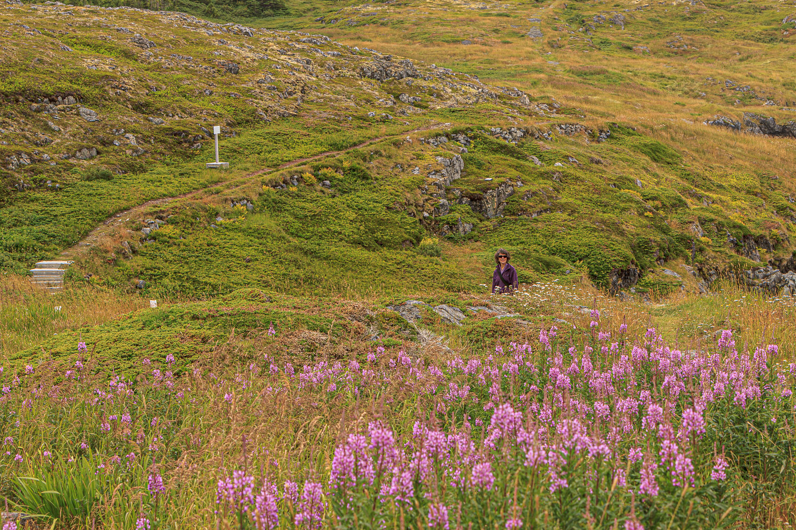 NFLD_1822__MG_0419.jpg