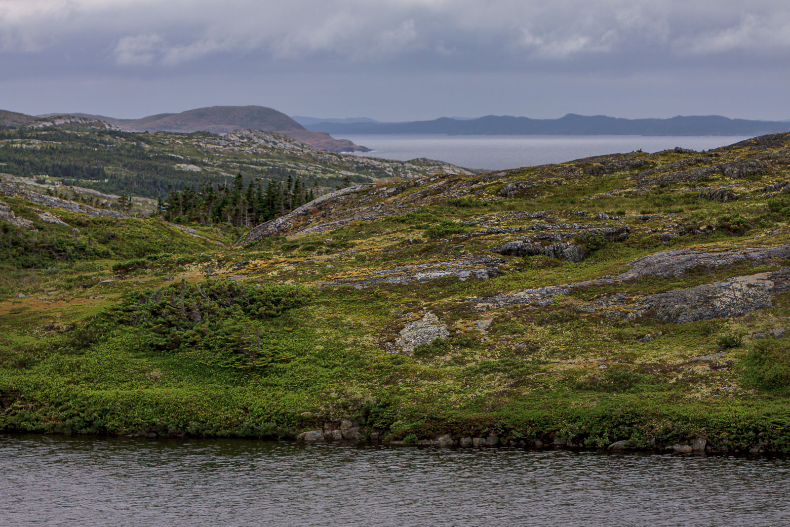 NFLD_1853__MG_0450.jpg