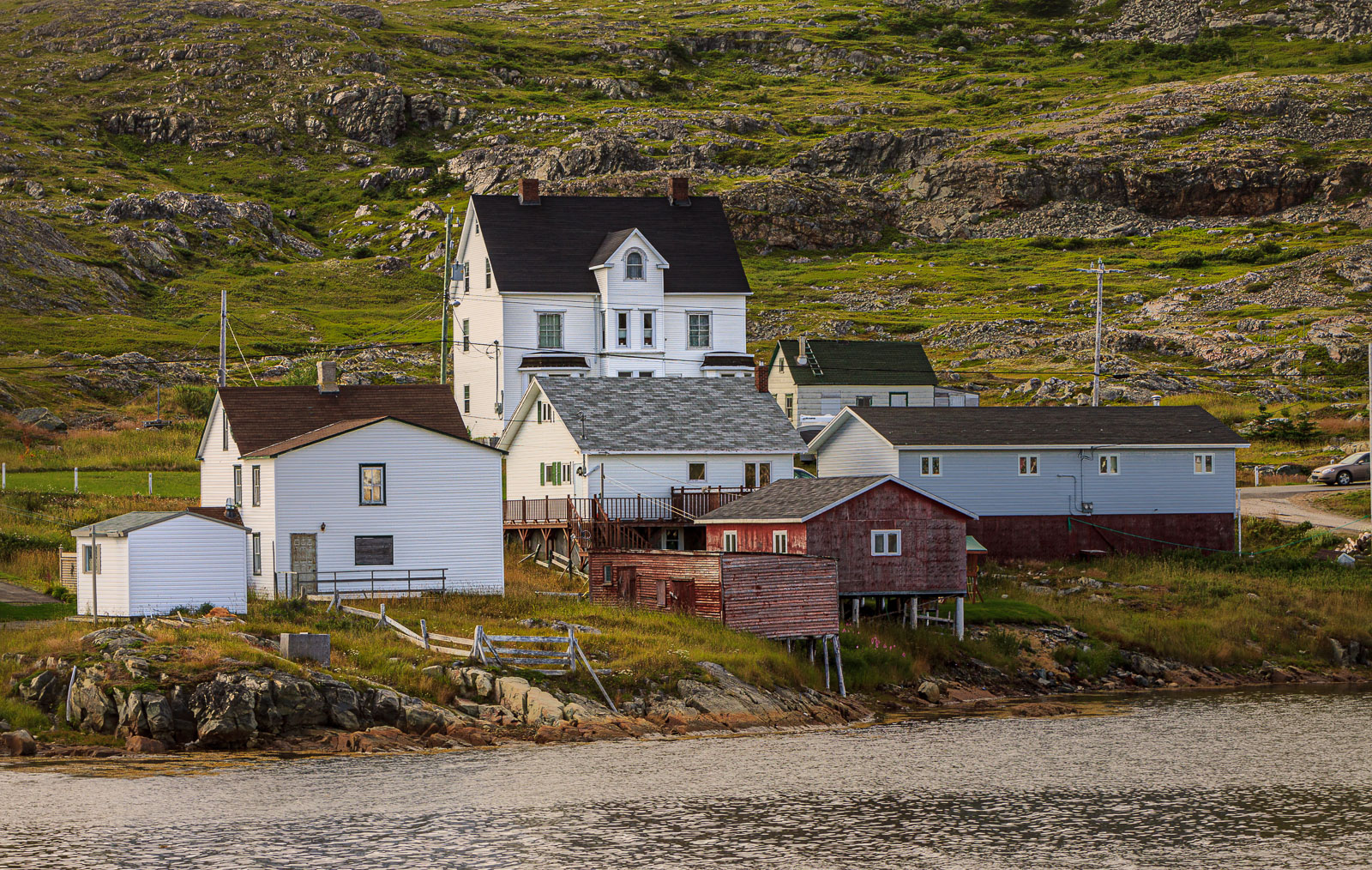 NFLD_1870__MG_0467.jpg