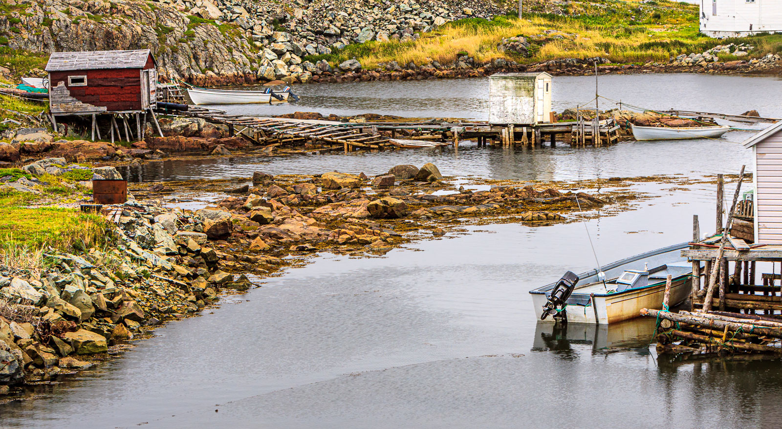 NFLD_1883__MG_0480.jpg