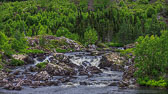 NFLD_0865__MG_9592.jpg