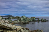 NFLD_0868__MG_9595.jpg