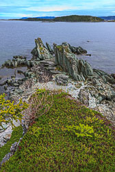 NFLD_0871__MG_9598.jpg