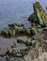 NFLD_0876__MG_9603.jpg