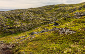 NFLD_1509__MG_0106.jpg