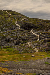 NFLD_1531__MG_0128.jpg