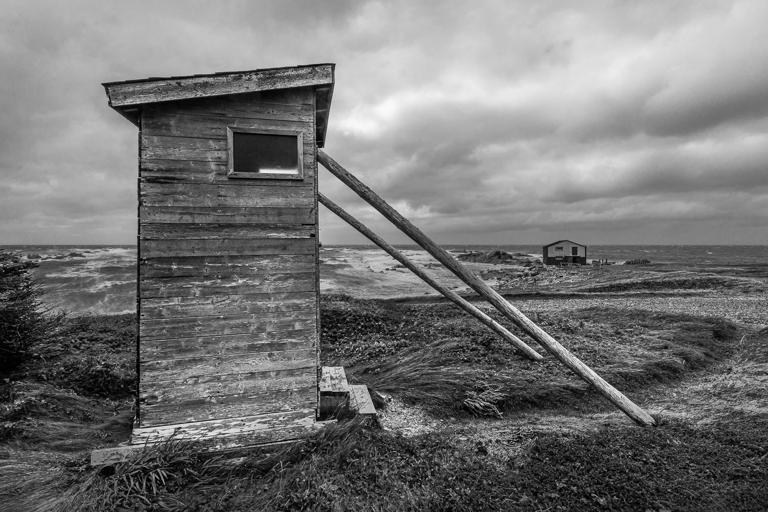 NFLD_14_58996__MG_9703.jpg