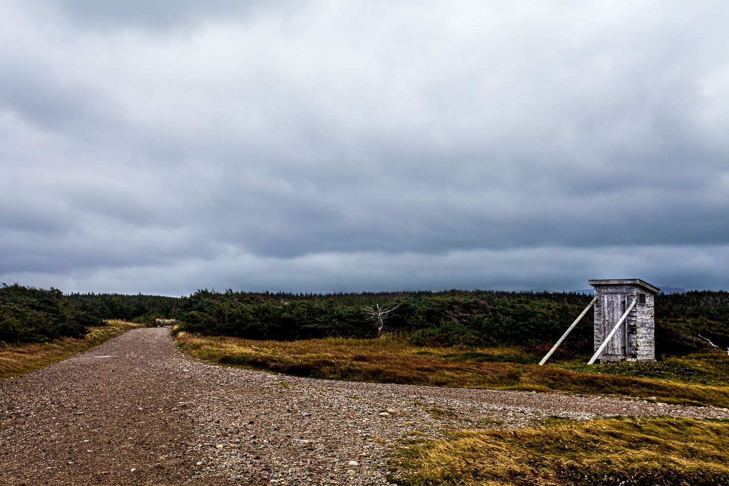 NFLD_14_59017__MG_9724.jpg