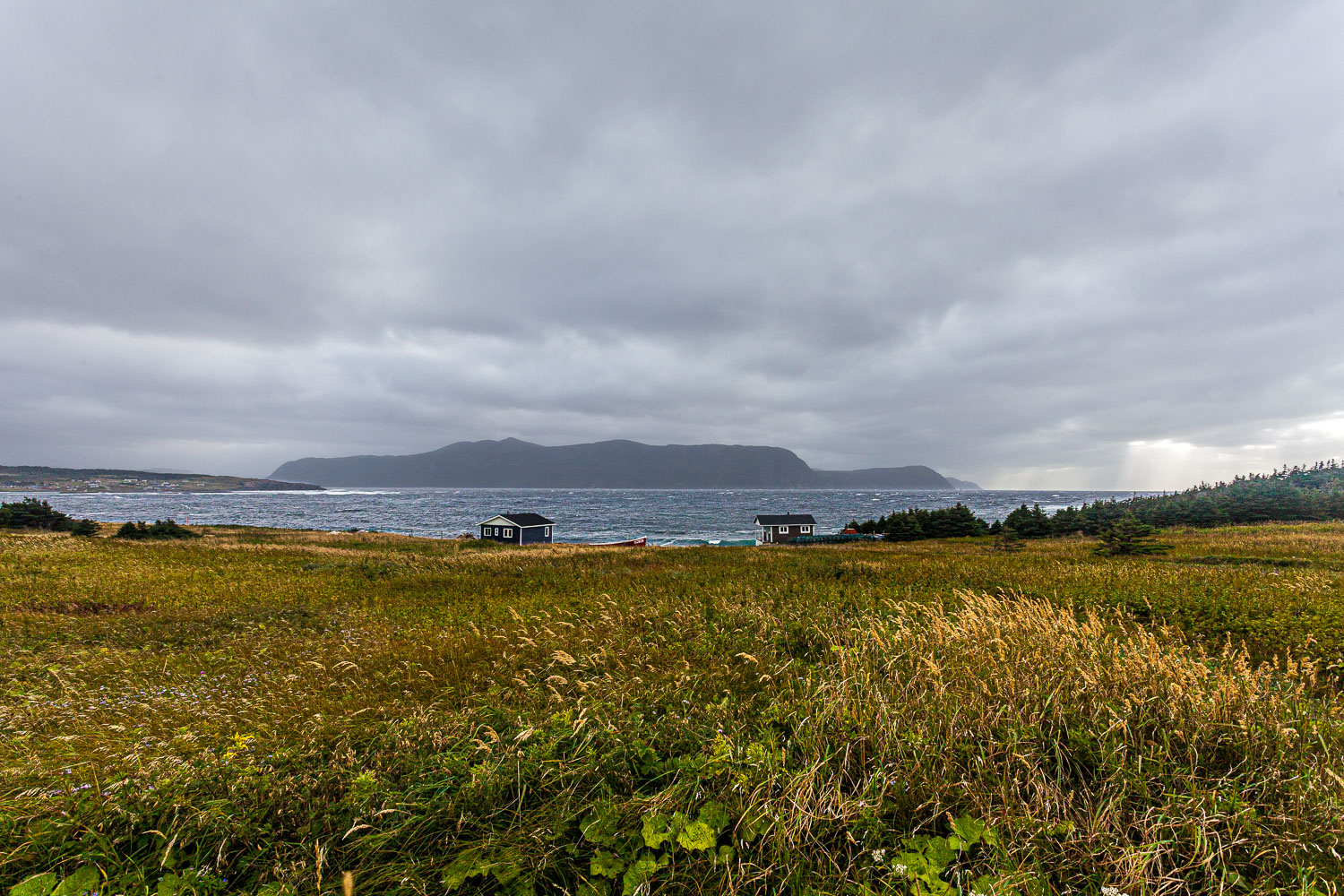 NFLD_14_59018__MG_9725.jpg