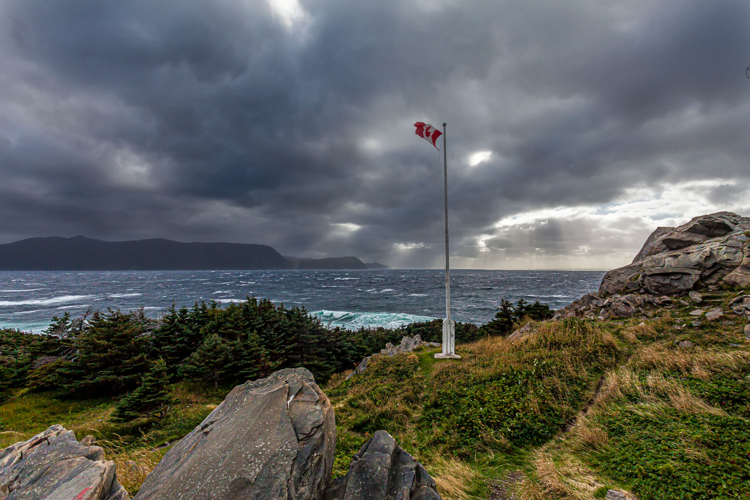 NFLD_14_59021__MG_9728.jpg