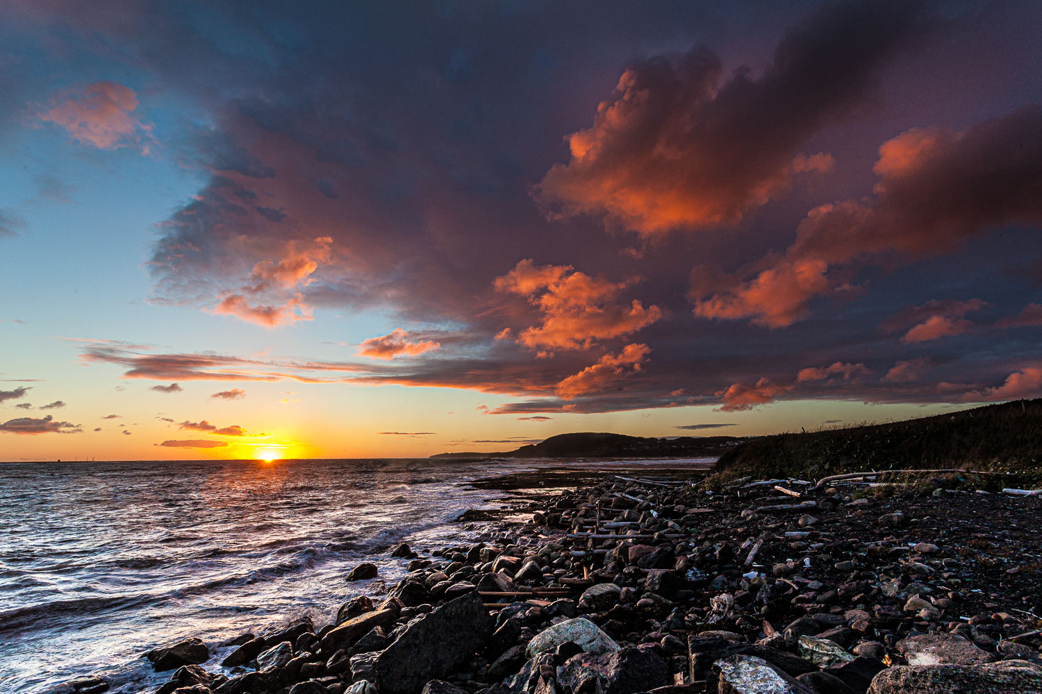 NFLD_14_59037__MG_9744.jpg