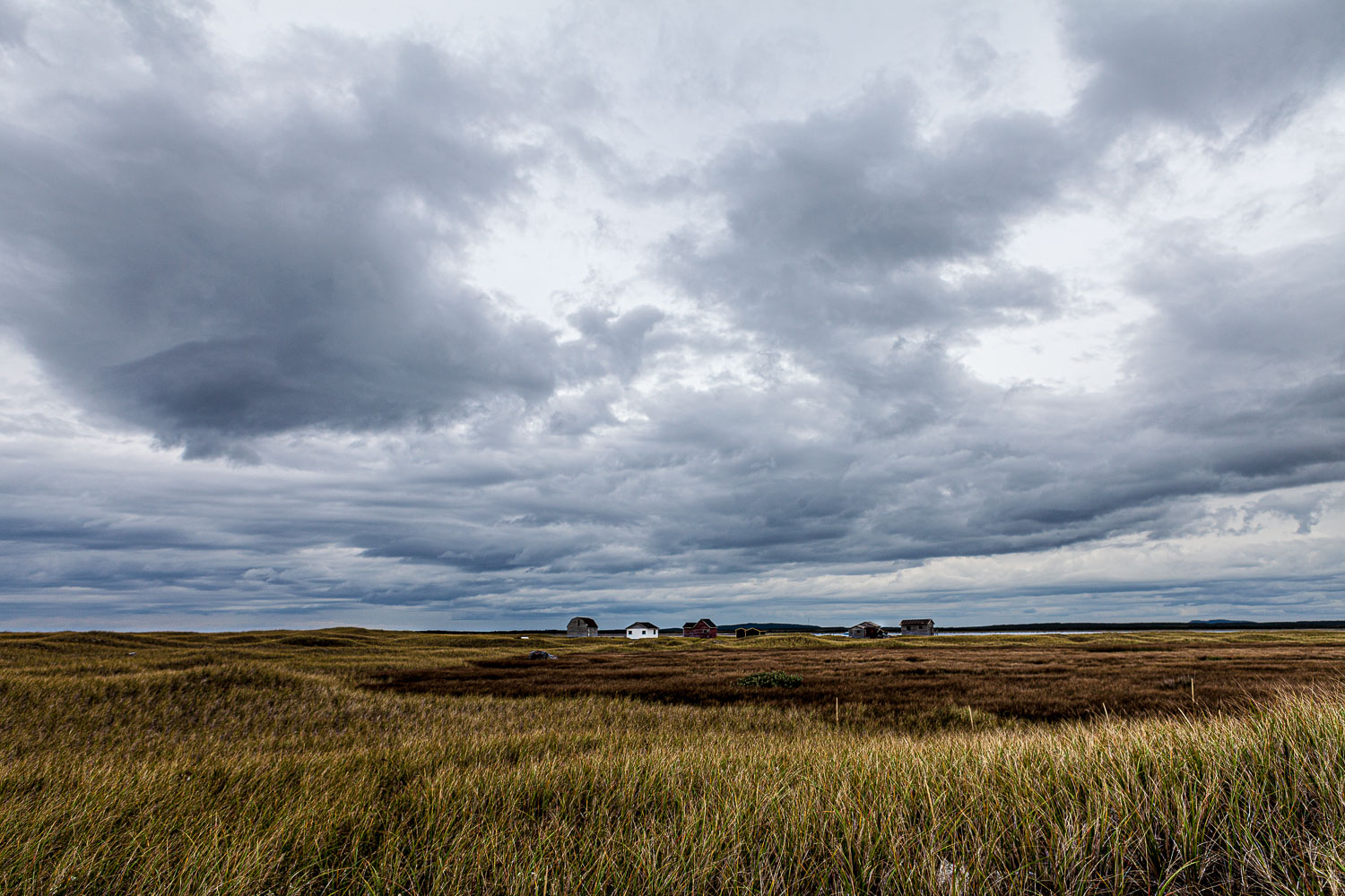 NFLD_14_59129__MG_9836.jpg