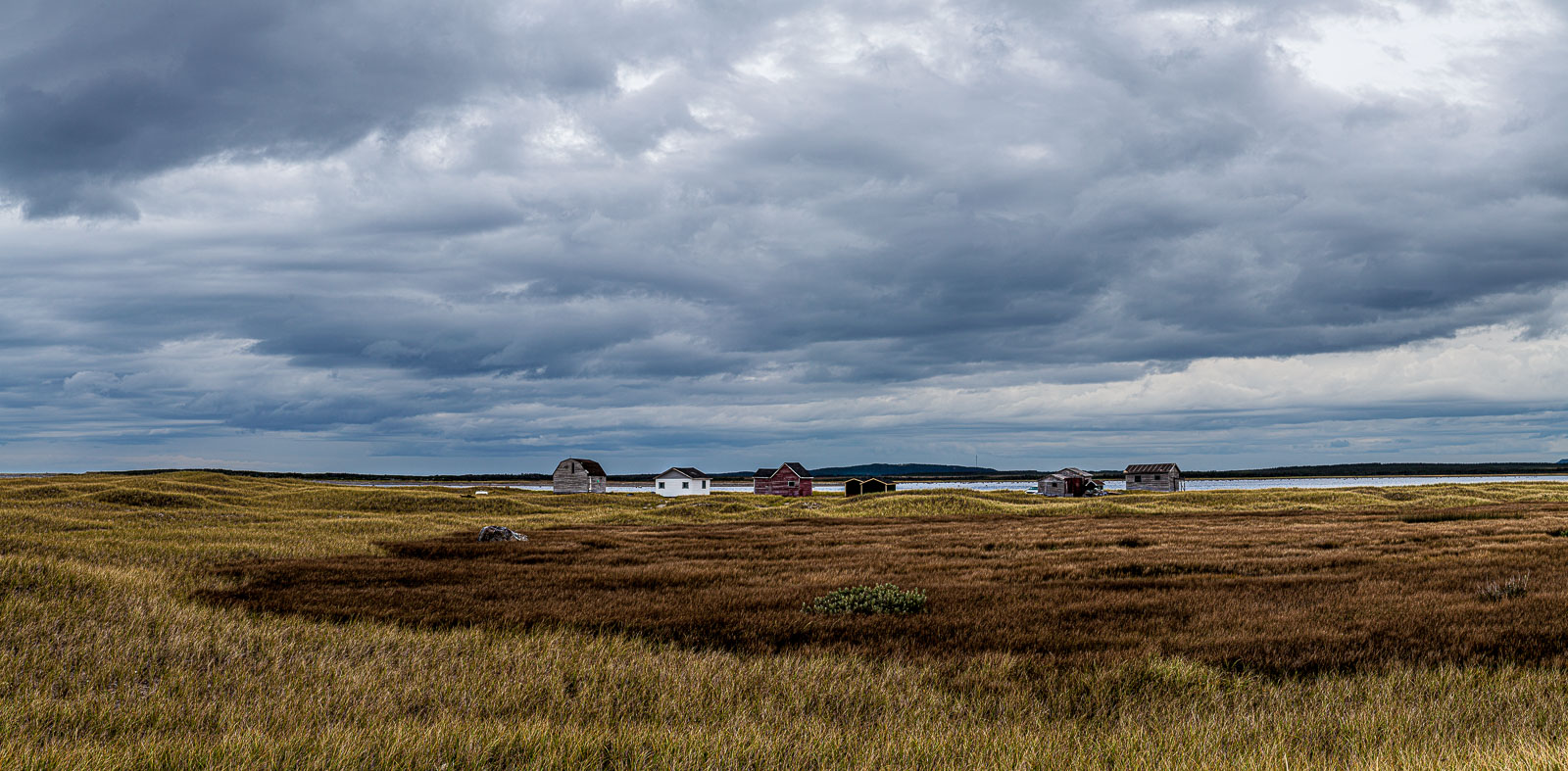 NFLD_14_59131__MG_9838-Pano.jpg