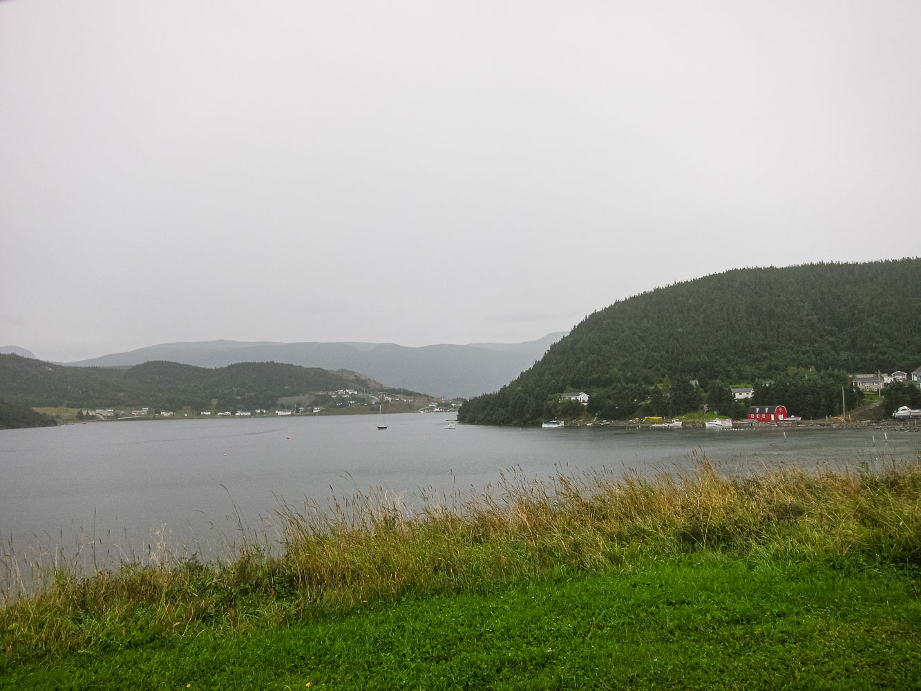 NFLD_14_60930_IMG_0751.jpg