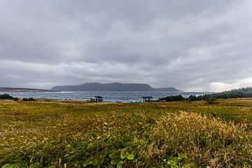 NFLD_14_59018__MG_9725.jpg