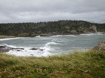 NFLD_14_60635_IMG_0456.jpg