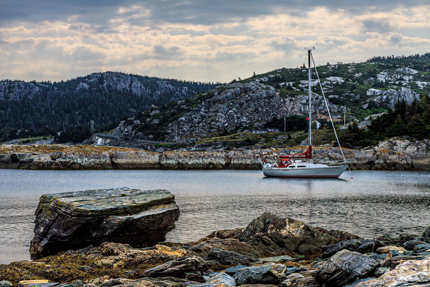 NFLD_03346__MG_1935.jpg