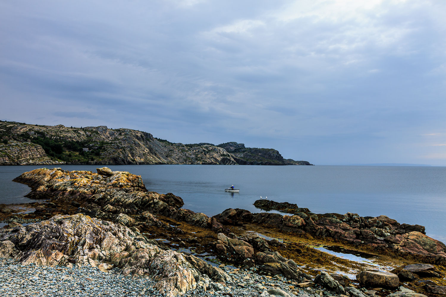 NFLD_03369__MG_1958.jpg