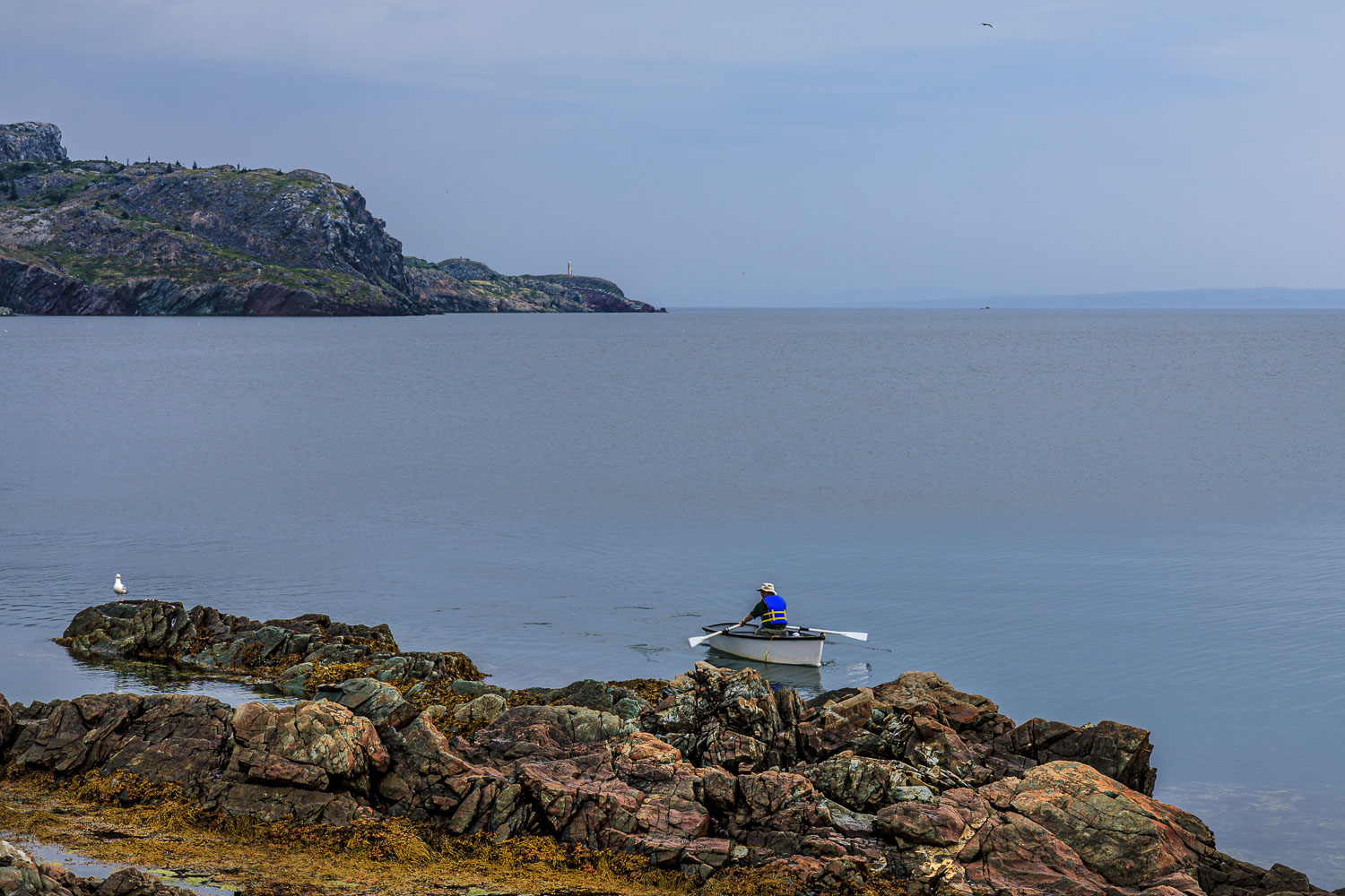 NFLD_03371__MG_1960.jpg