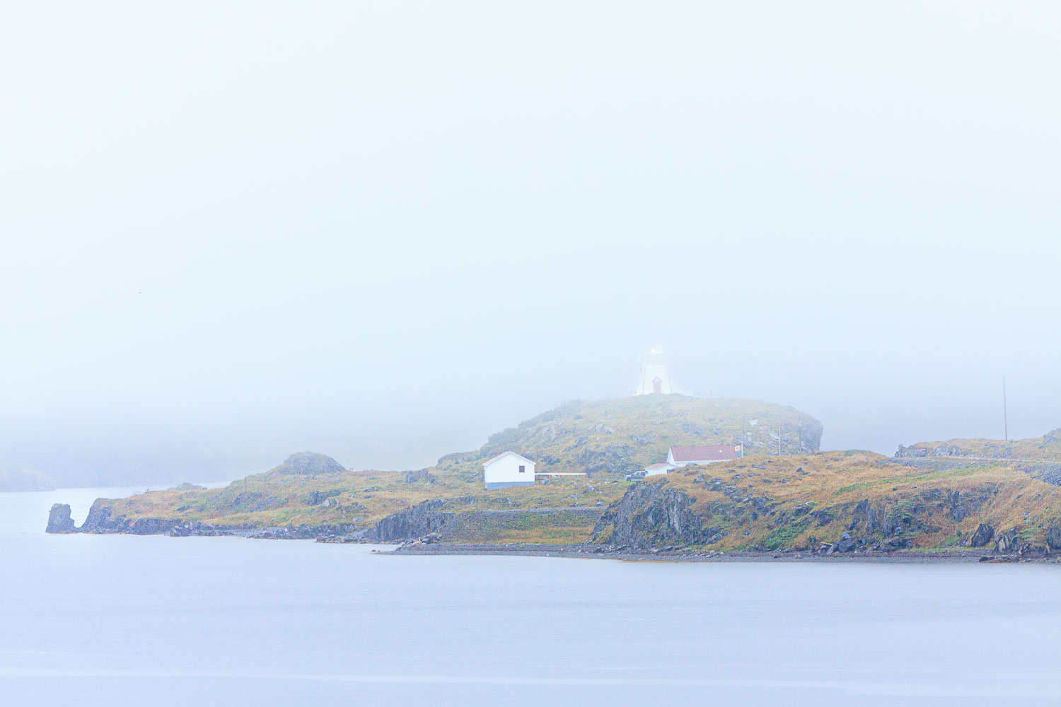 NFLD_03778__MG_2377.jpg