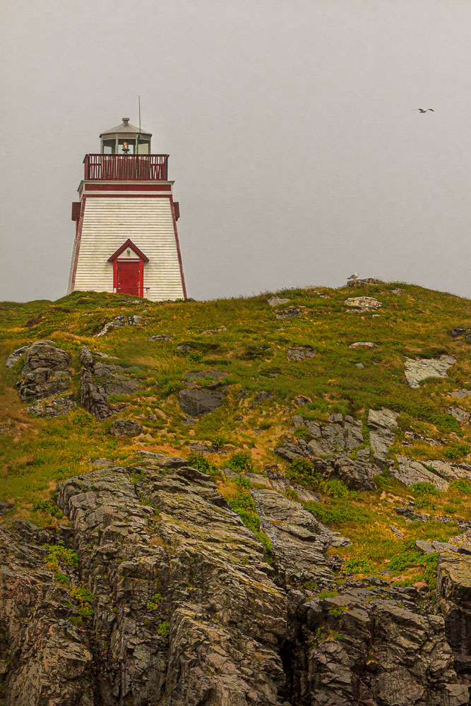 NFLD_03784__MG_2383.jpg