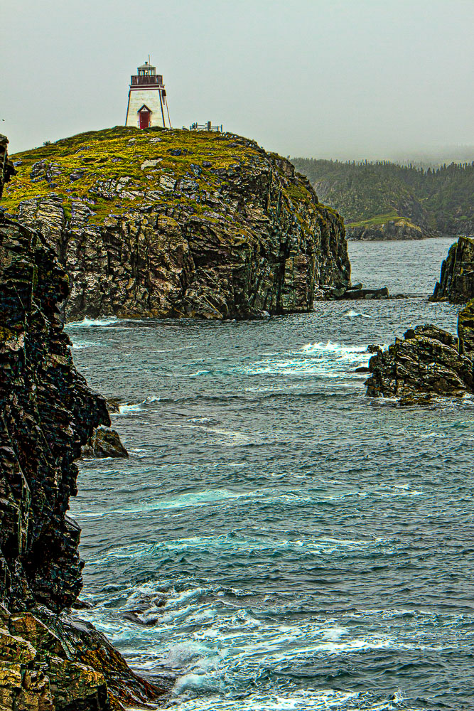 NFLD_03806__MG_2405-Edit.jpg